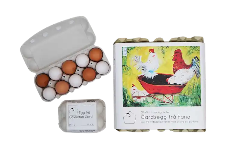 Egg varianter